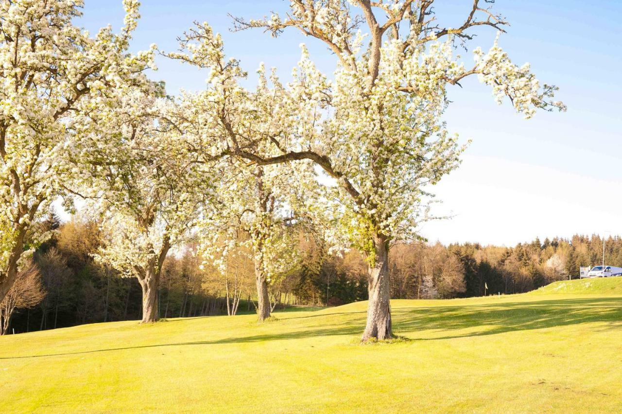 Topfit-Freizeitpark Hotell Freinberg Exteriör bild